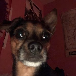 Meet your Posher, Madison